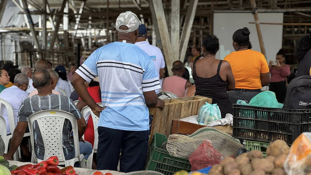 Jóvenes de Puerto Tejada que dejaron las pandillas ahora comercializan tomates como parte de proyectos productivos de resocialización.