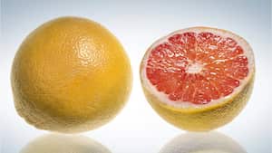 La toronja es una fruta cítrica baja en calorías y con muchos nutrientes. Foto: Getty Images.