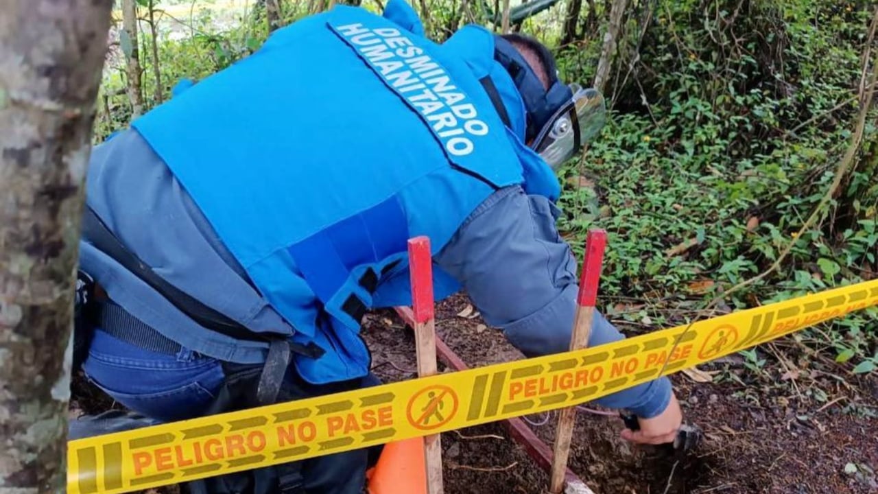 Palmira amplía su territorio seguro con nueva área libre de sospecha de minas antipersonal: 24 veredas recuperan su movilidad.