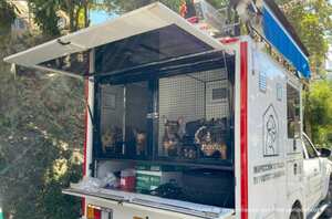 La Fiscalía encontró a 55 perros en graves condiciones de abandono.