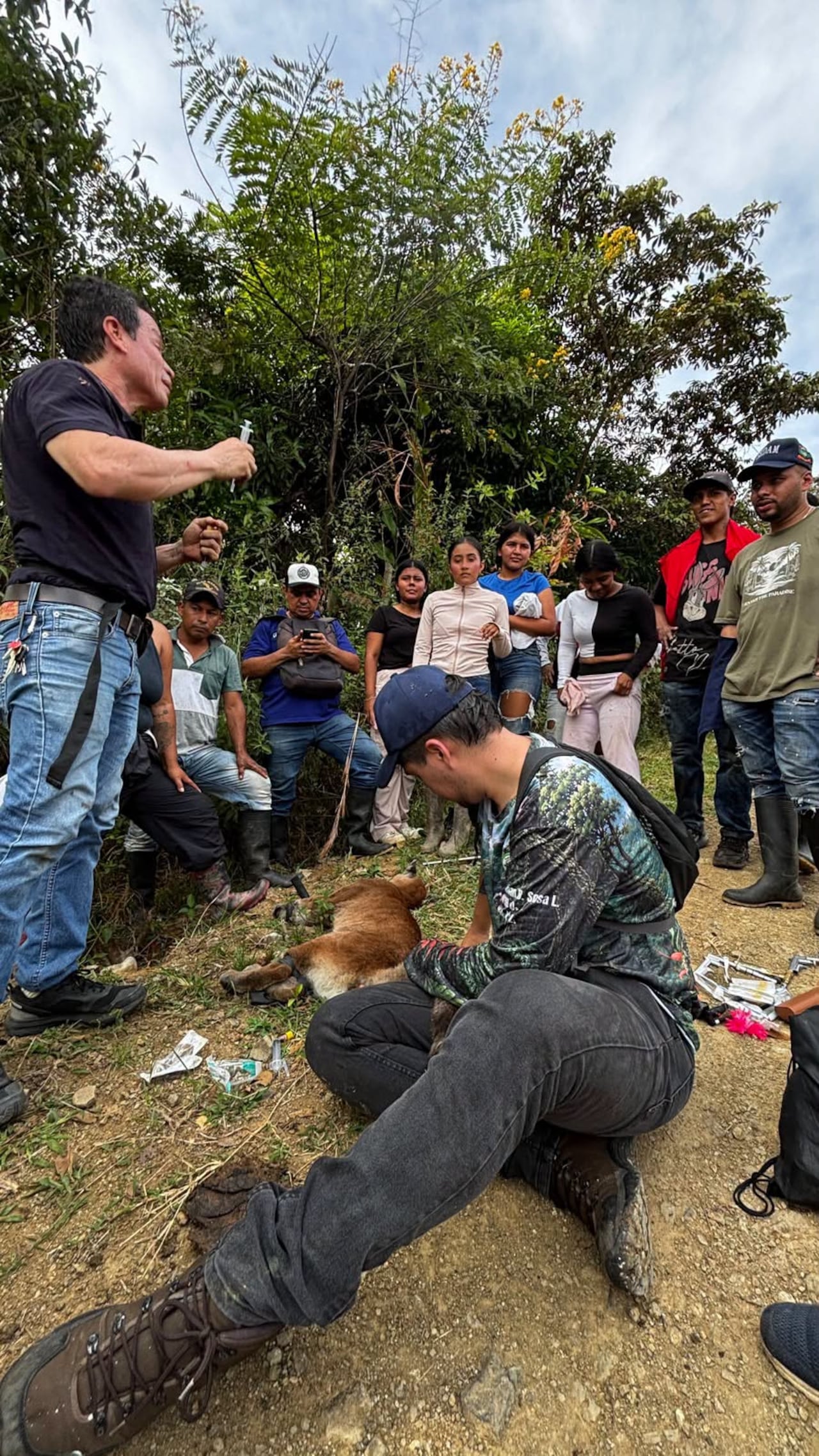 Funcionarios de la CRC, personal del DAGMA y representantes de la comunidad participaron en el rescate de los dos felinos en zona rural de Miranda.