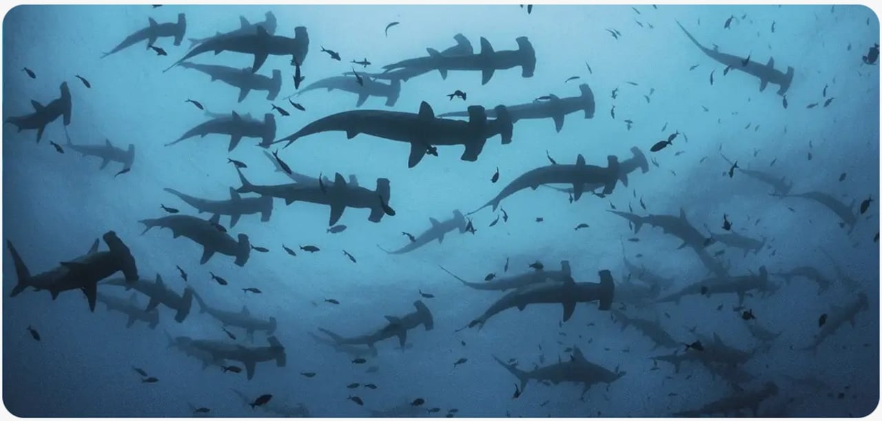 Está ubicado en la isla homónima, aproximadamente a 500 kilómetros al oeste del puerto de Buenaventura