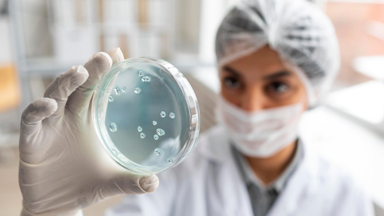 En Grecia se permite la subrogación altruista y comercial limitada (compensación por pérdida de ingresos de la gestante): exige certificado médico de infertilidad de la comitente y está restringida en parejas de igual sexo.