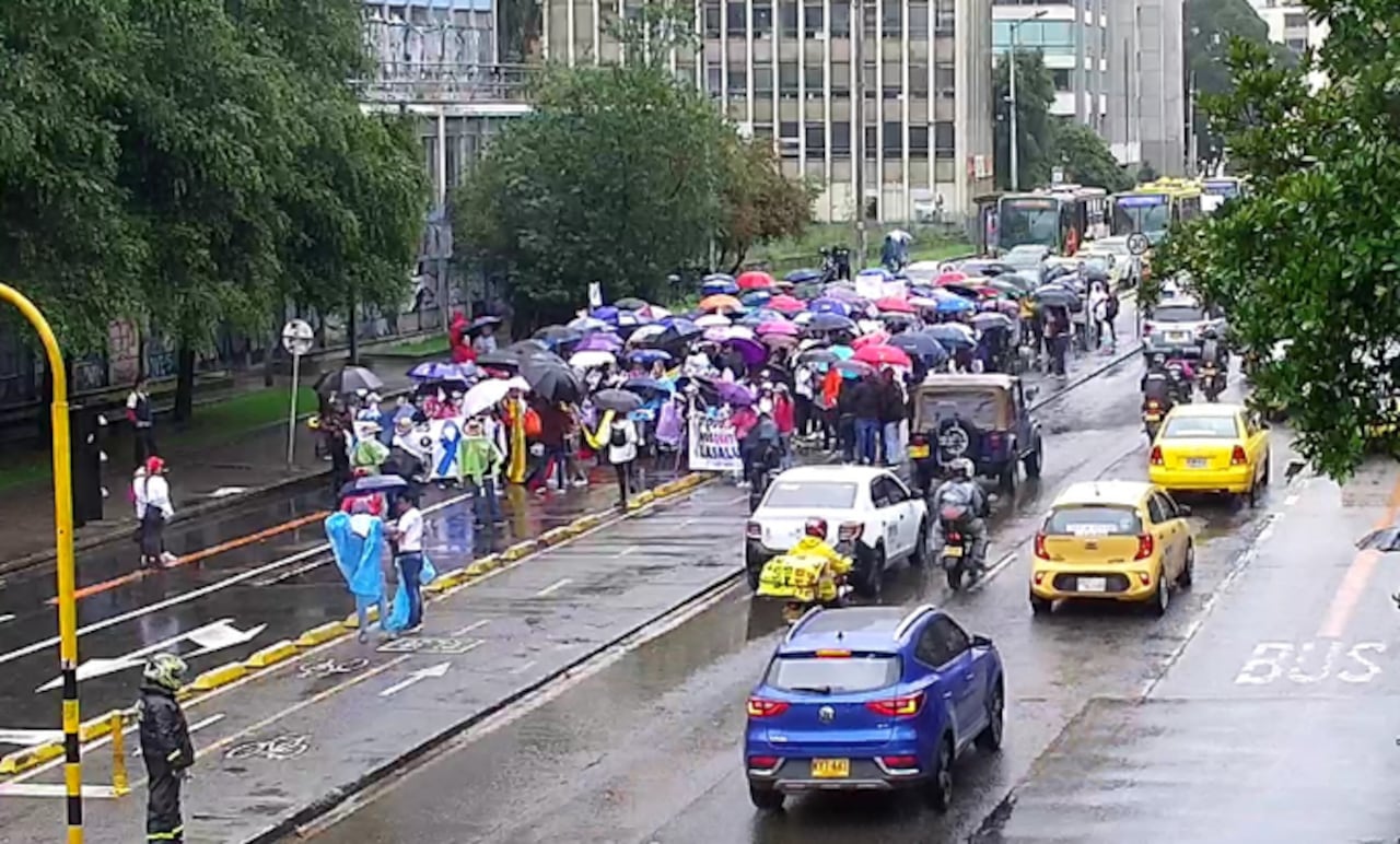 Los participantes en la movilización se desplazaron a lo largo de la Carrera Séptima entre las calles 26 y 36, por lo que fueron desplazadas unidades de tránsito para regular el tráfico en las zonas impactadas y de gestores de convivencia para realizar labores de acompañamiento.