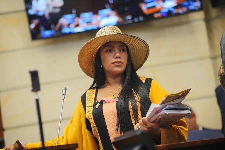 La senadora está siendo investigada por los delitos de tráfico de influencias y cohecho impropio.