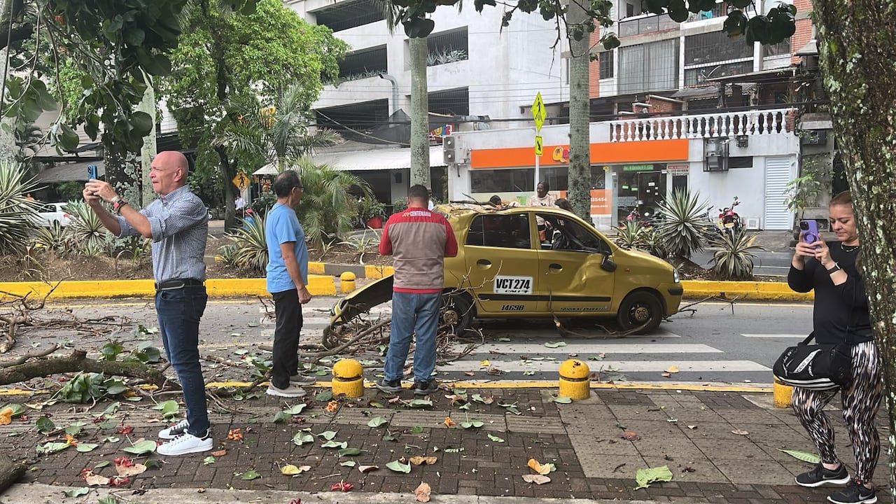 Caída de árbol en el oeste de Cali, barrio El Peñón.