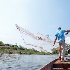 La Laguna de Sonso o del Chircal, se encuentra ubicada sobre la margen derecha del río Cauca, entre los municipios de Buga, Yotoco y Guacarí.