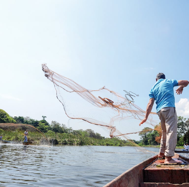La Laguna de Sonso o del Chircal, se encuentra ubicada sobre la margen derecha del río Cauca, entre los municipios de Buga, Yotoco y Guacarí.