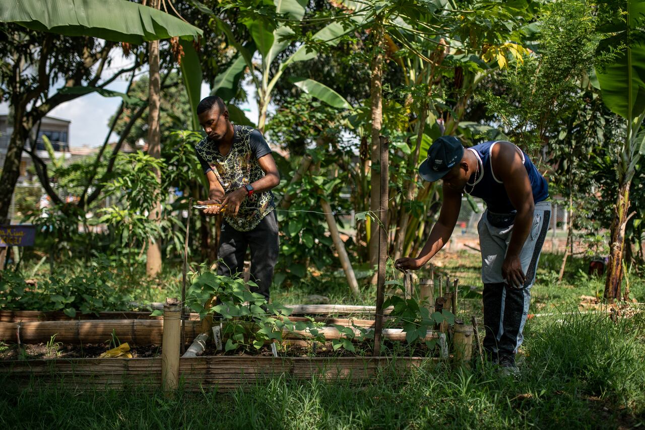 Algunos integrantes de Distrito en Paz tienen proyectos productivos que esperan puedan ser potencializados en los años próximos.