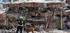 Después del terremoto de magnitud 7.4, el día lunes 10 de Agosto de 2026 y que sacudió a la ciudad de Cali, se inició la búsqueda de sobrevivientes del edificio colapsado Casa Médica Veno-Estil i.