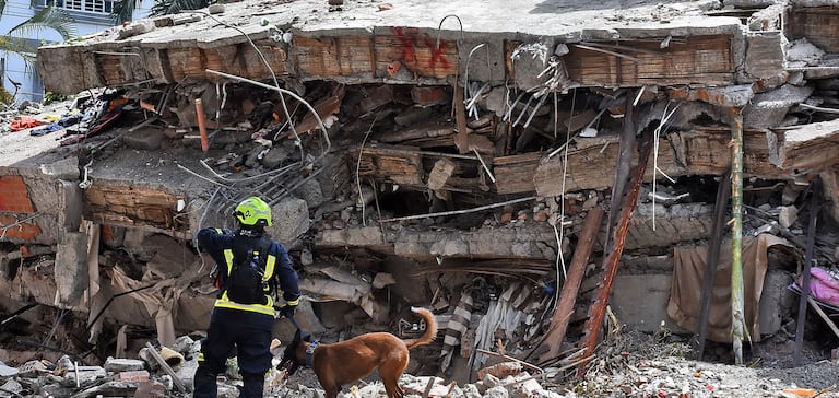 Después del terremoto de magnitud 7.4, el día lunes 10 de Agosto de 2026 y que sacudió a la ciudad de Cali, se inició la búsqueda de sobrevivientes del edificio colapsado Casa Médica Veno-Estil i.