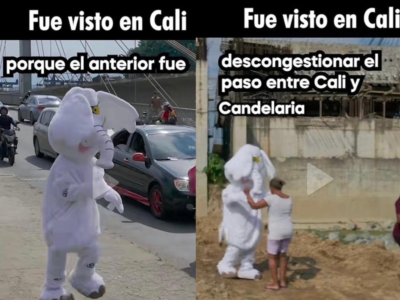 El elefante blanco estuvo bailando en el puente de Juanchito denunciando que la obra no avanza. Foto: Fragmento video. Cuenta tiktok Teloyquito