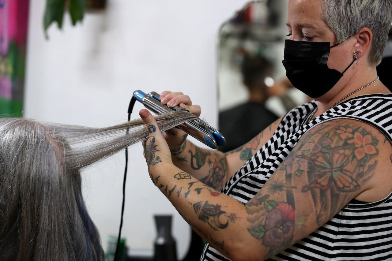 (Imagen de referencia)