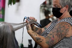 (Imagen de referencia)