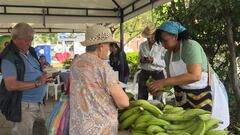 En el municipio de Palmira se realizó la Feria Campesina con el objetivo de apoyar las ventas de los pequeños y medianos productores agrícolas de la región.