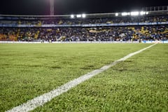 Estado de la gramilla de El Campín