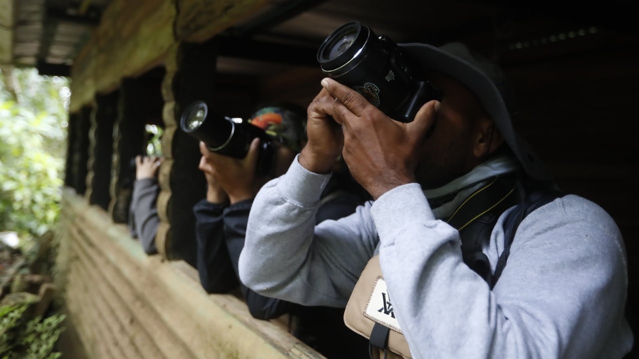 Observación de aves - Colombia Birdfair