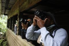 Observación de aves - Colombia Birdfair