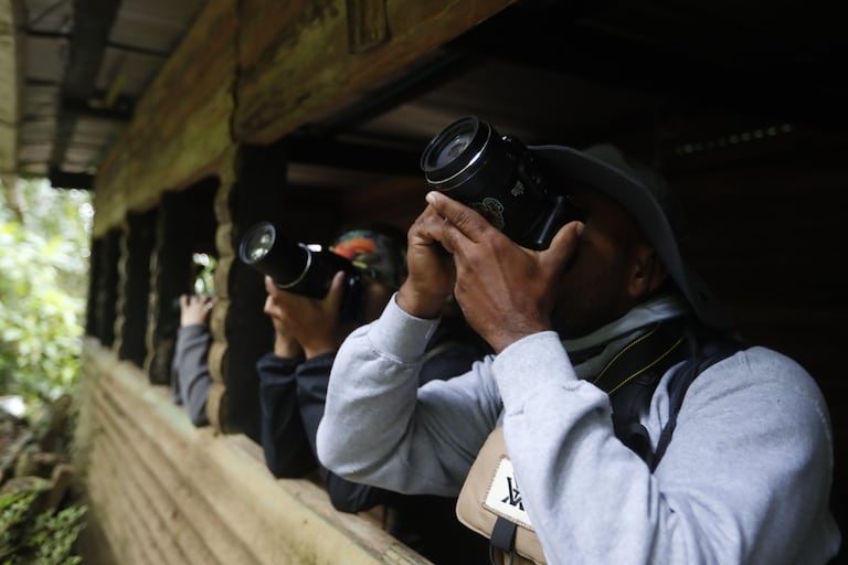 Observación de aves - Colombia Birdfair