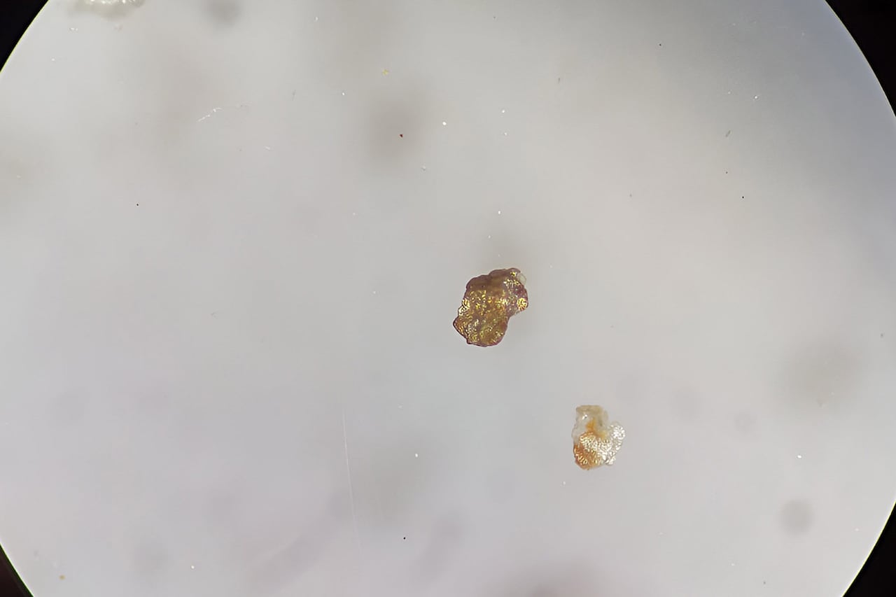 Técnica para detectar oro ilegal UNAL