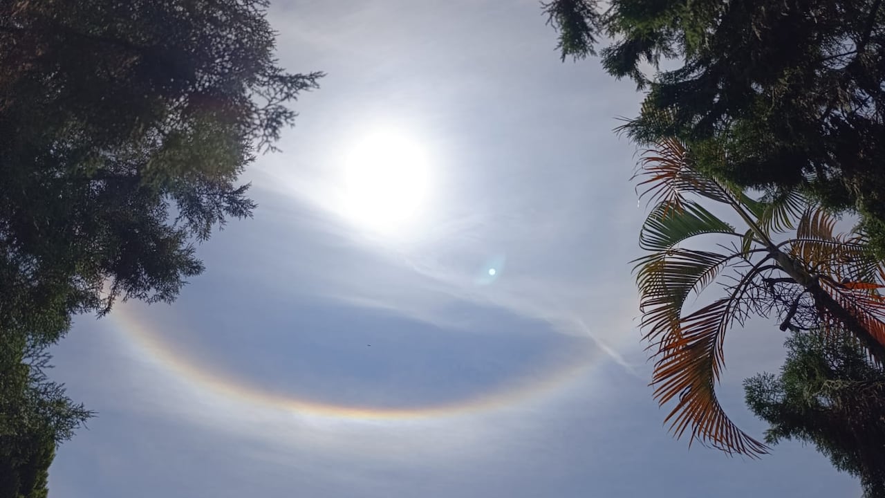 Las redes sociales se llenaron de imágenes y comentarios de ciudadanos que compartieron su sorpresa ante este inusual fenómeno.