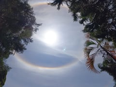 Las redes sociales se llenaron de imágenes y comentarios de ciudadanos que compartieron su sorpresa ante este inusual fenómeno.