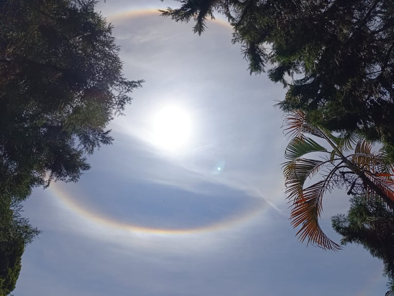 Las redes sociales se llenaron de imágenes y comentarios de ciudadanos que compartieron su sorpresa ante este inusual fenómeno.