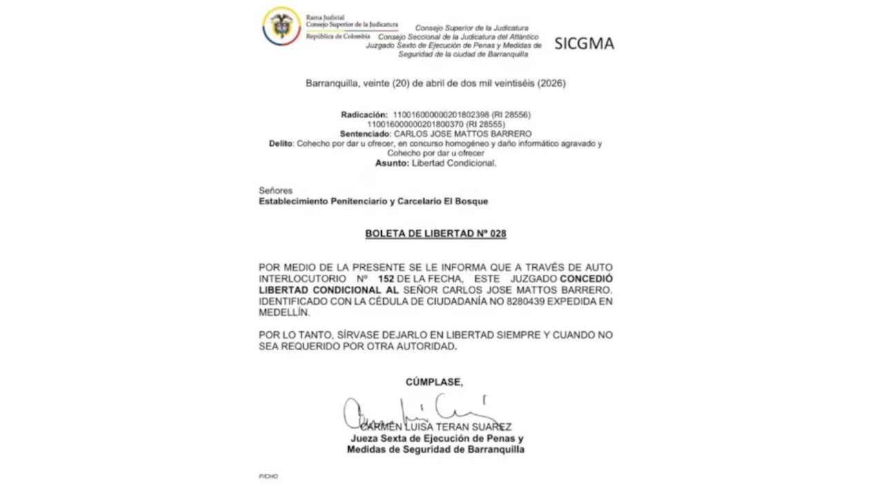 Boleta de libertad de Carlos Mattos