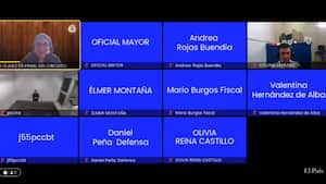 El señalado asesino estuvo presente en la audiencia de manera virtual desde la cárcel La Picota.