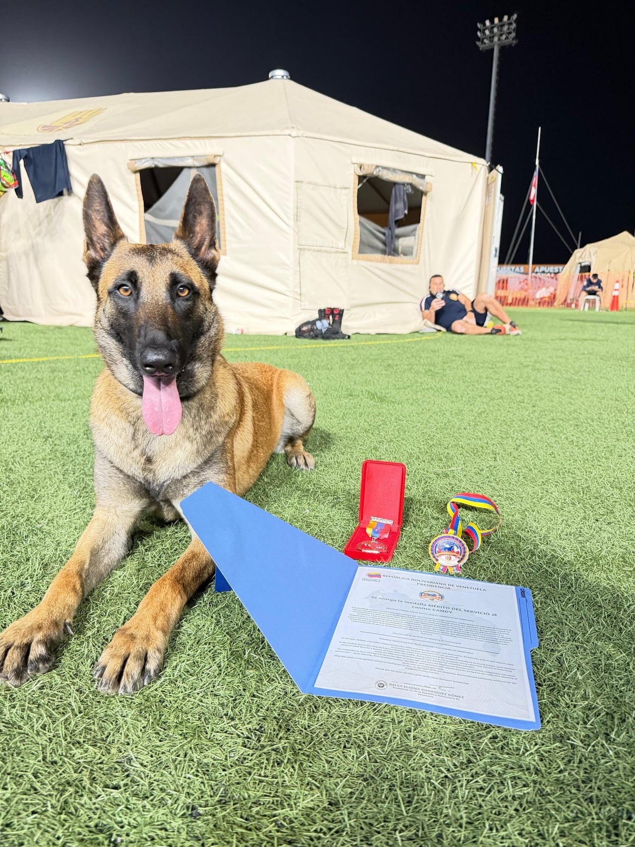 Perros rescatistas fueron condecorados: Candy, Rojo, Tamy y Dastan recibieron medalla al Mérito del Servicio tras las operaciones de búsqueda y rescate tras el terremoto en Venezuela.