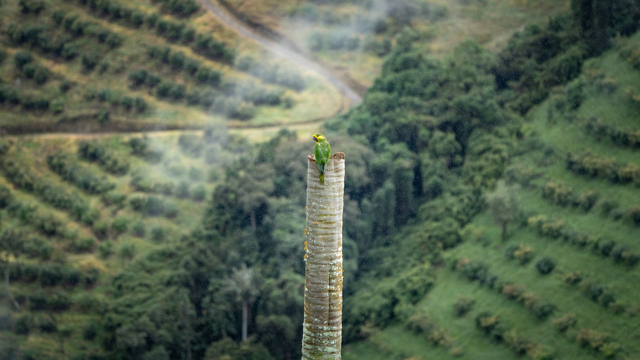 Fotografía de Santiago Pérez Rincón.