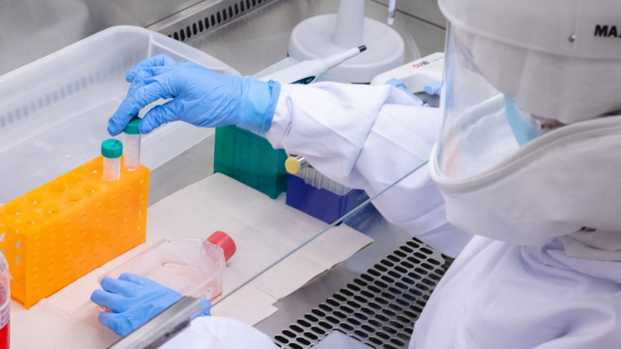 Investigadores de la Universidad de Antioquia aislaron el virus que genera la viruela del mono.