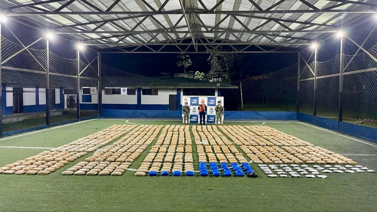 Marihuana decomisada por la Armada al Clan del Golfo en el Chocó.