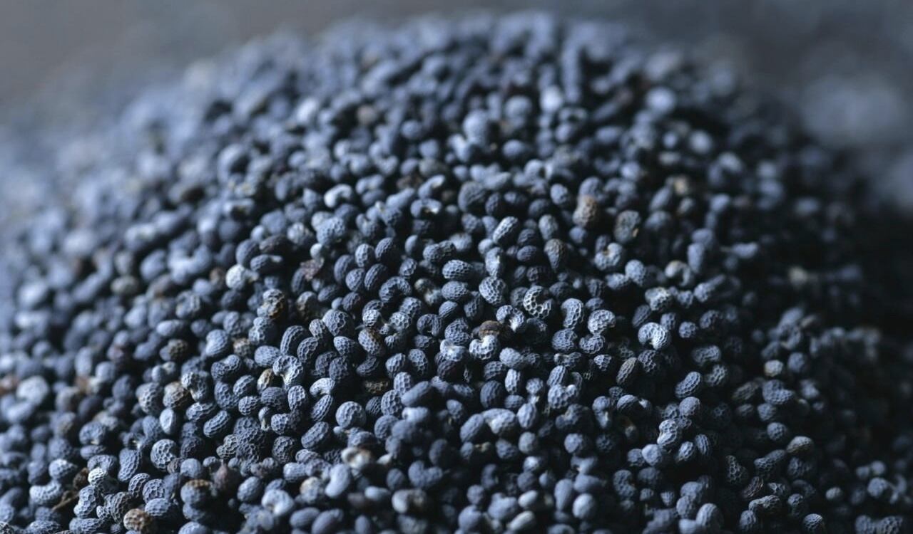 Las semillas de amapola son una gran fuente de proteína