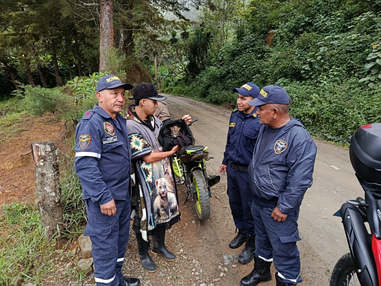 Los bomberos del municipio de Almaguer fueron los encargados de proteger a pequeño felino después del reporte de su hallazgo por parte de las comunidades de esta población del Macizo Colombiano.
