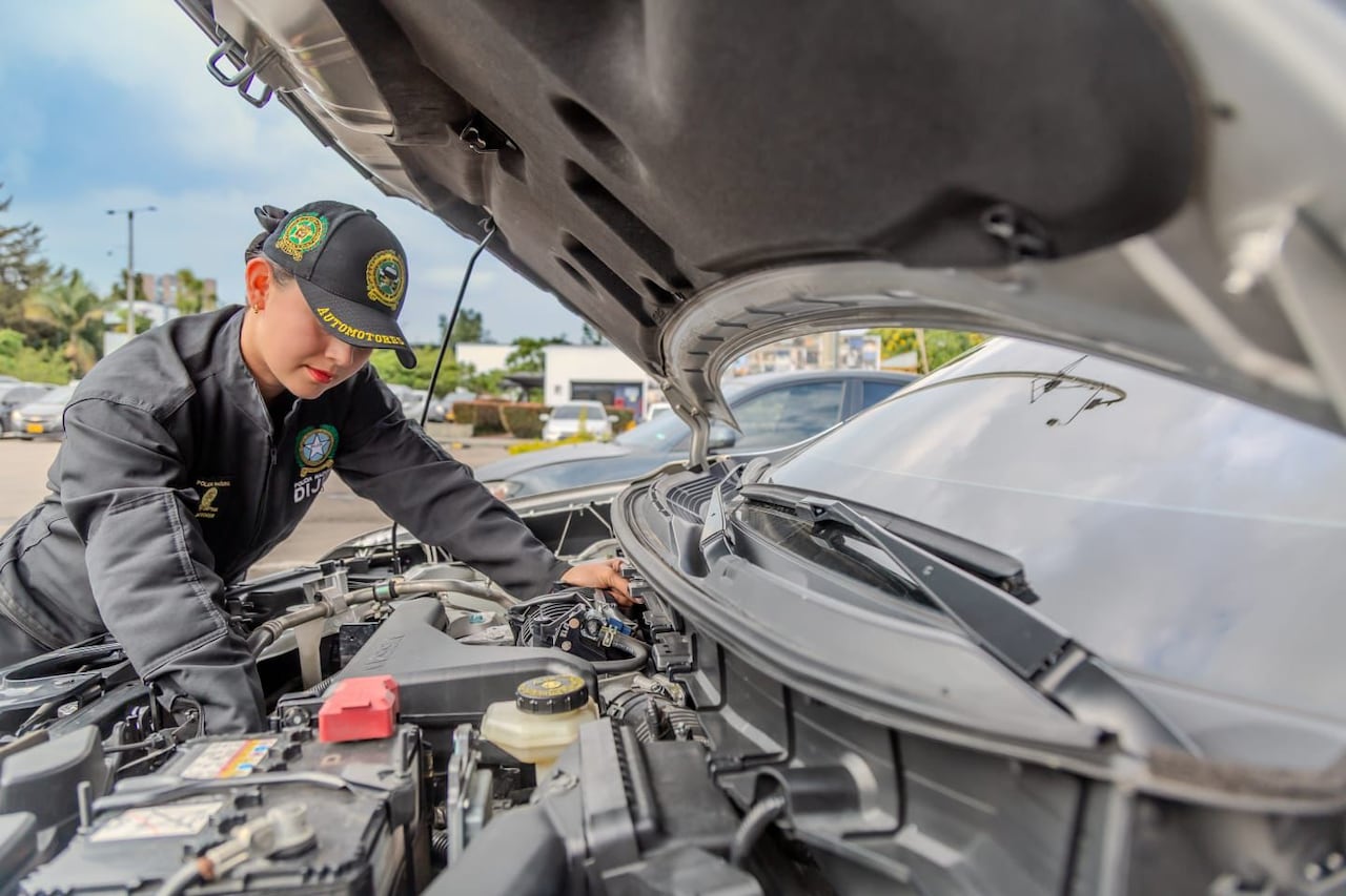 Revisión técnica de registro automotor