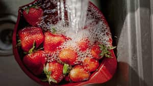 La fresas contienen numerosos beneficios para el organismo.