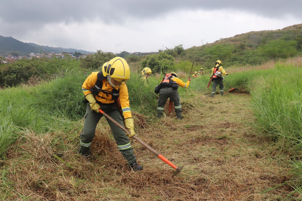 Simulacro de incendio forestal en los cerros de Cali