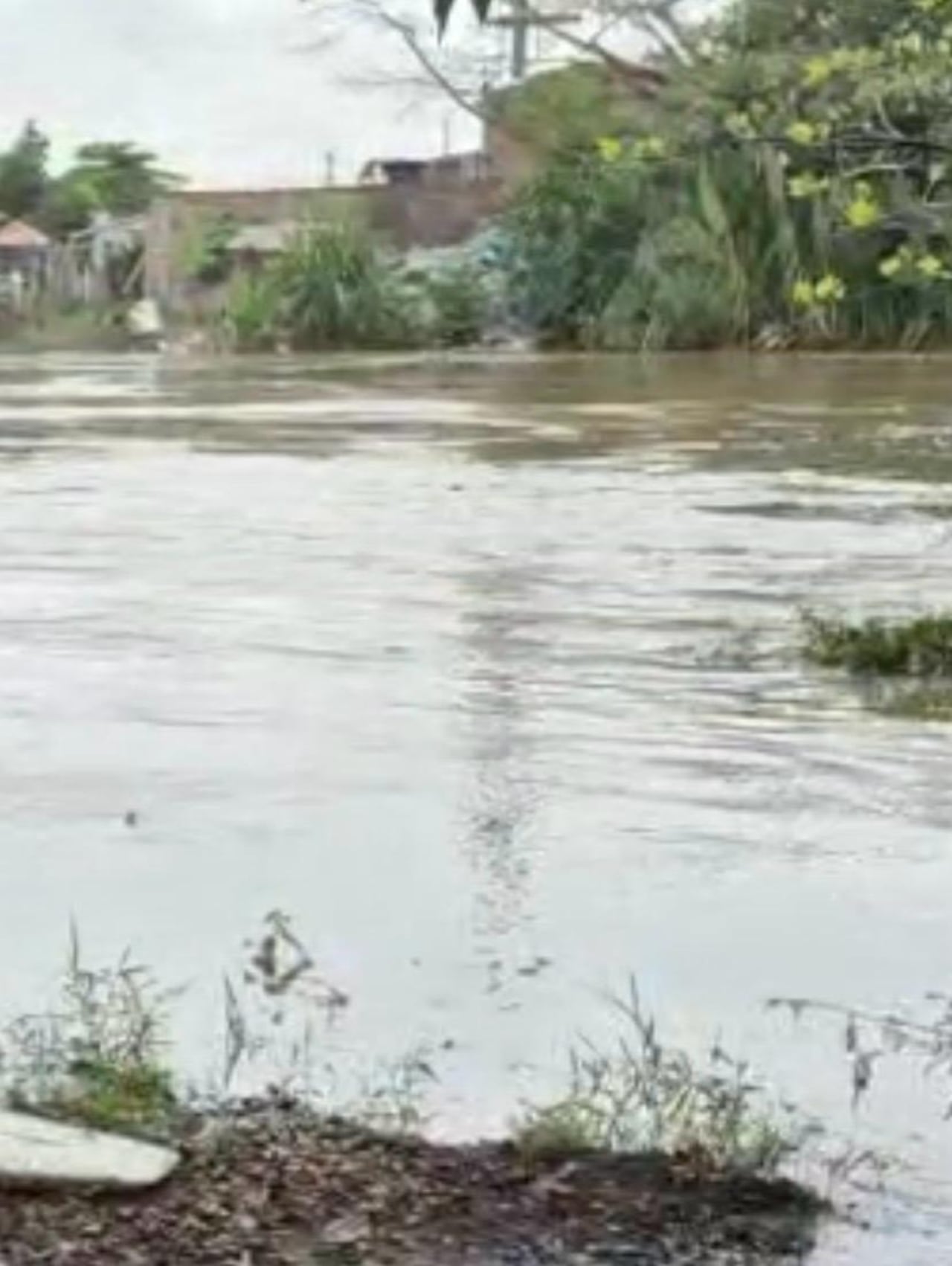 Crece caudal del río Cauca a la altura de Publo Nuevo, Distrito de Santiago de Cali.