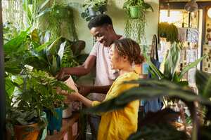 Mantener el cuidado de las plantas es indispensable para que sus hojas siempre estén sanas.