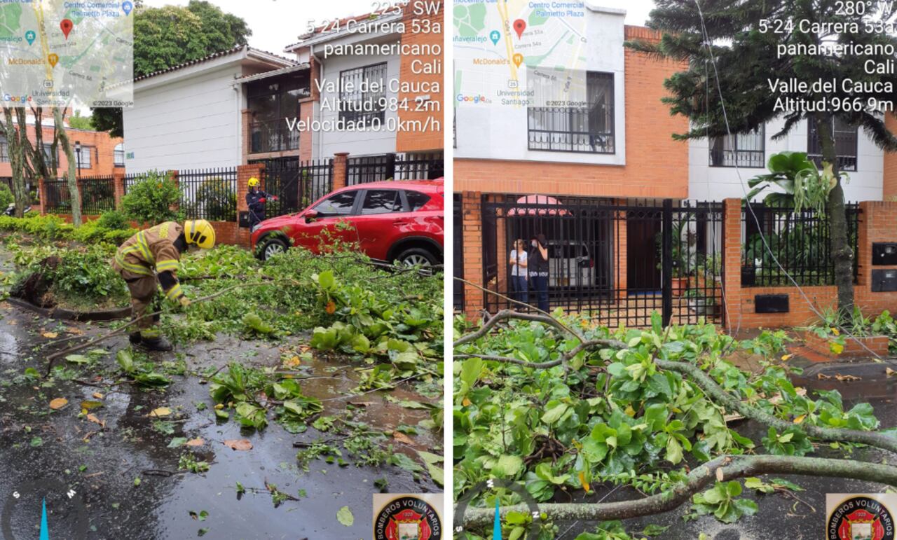 Fuerte aguacero ocasionó que varios árboles de la capital del Valle cayeran sobre algunas viviendas y vehículos. Cortesía: Cuerpo de Bomberos de Cali