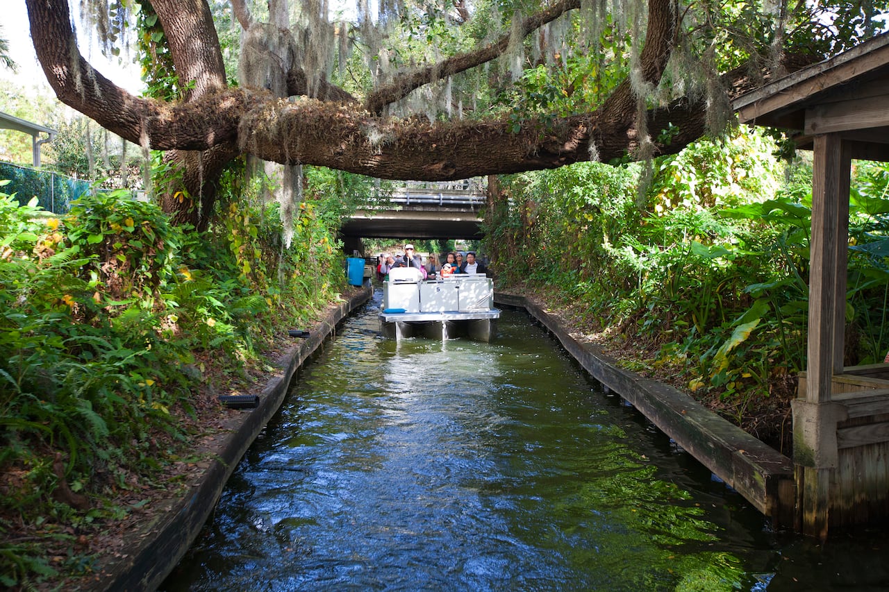 Ubicado sobre el lago Osceola, en la encantadora localidad de Winter Park, el Winter Park Scenic Boat Tour es una experiencia perfecta.