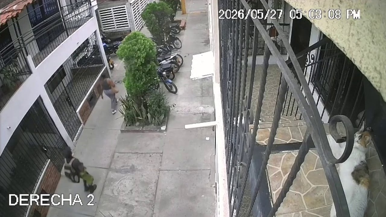 La víctima logró escapar del presunto delincuente y pidió auxilio en una vivienda cercana, mientras habitantes del sector salieron a ayudarla.