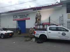 Integrantes del Equipo Scout de Popayán, utilizando trajes especiales, lideraron las labores de control y reubicación del enjambre que generó la emergencia en el centro de la capital del Cauca.