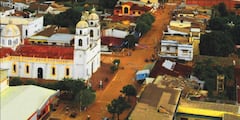Este es el municipio en el que está ubicado este árbol.
