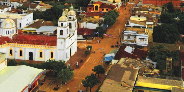 Este es el municipio en el que está ubicado este árbol.
