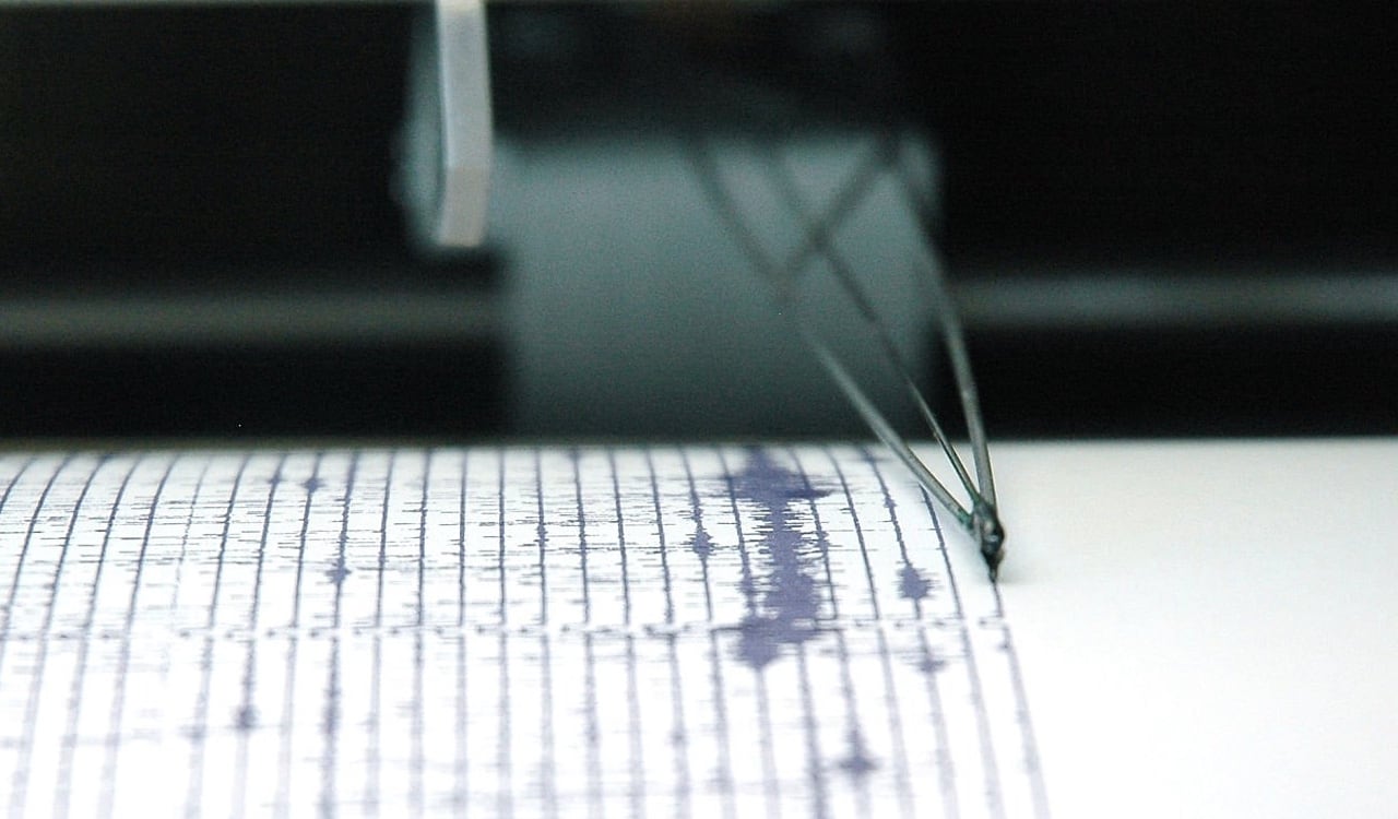 La OMS señala que es clave ponerse de acuerdo en las familias y trazar un plan claro para saber cómo contactarse y dónde encontrarse una vez la contingencia haya pasado.