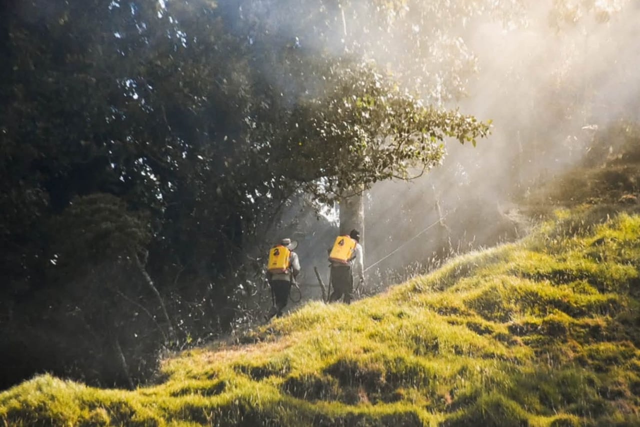 Luego de recorrer la zona del incendio forestal que afecta al municipio de Abejorral, las autoridades confirmaron que aún persisten al menos cuatro puntos calientes. Mientras que en el sector La Troja el fuego fue controlado en un 100 por ciento, en el sector conocido como La M el avance alcanza el 90 por ciento.