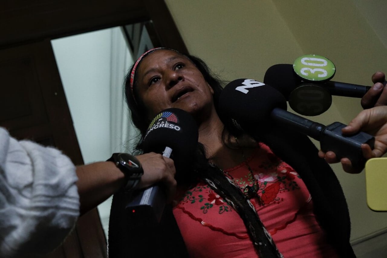 Senadora Aida Quilcué