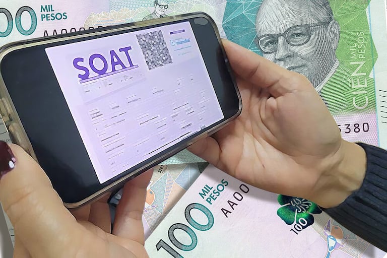 Entre las modalidades de fraude encontradas por la Adres están el ‘pitufeo’ y ‘gemeleo’ de las cuentas. Sin embargo, con inteligencia artificial la entidad está detectando estas prácticas delictivas.
foto: Colprensa / fotomontaje El País.